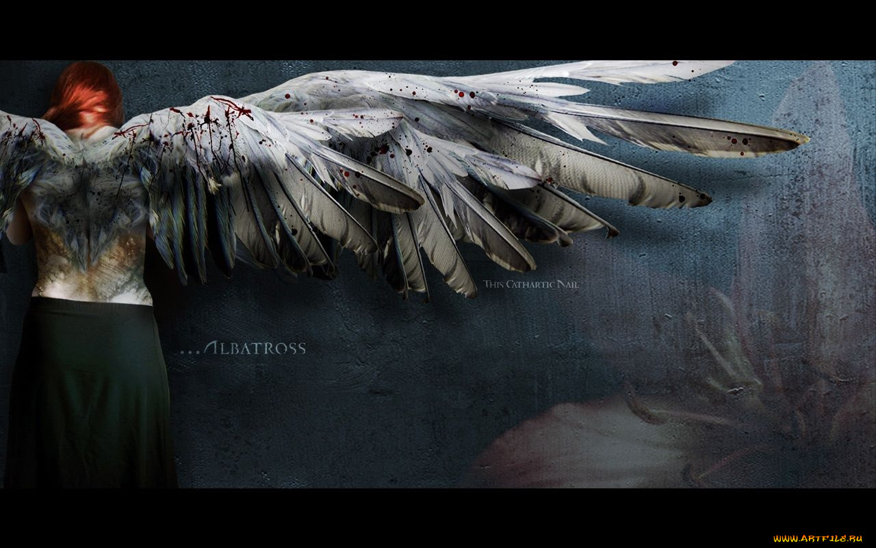 albatross, wings, girl, , 